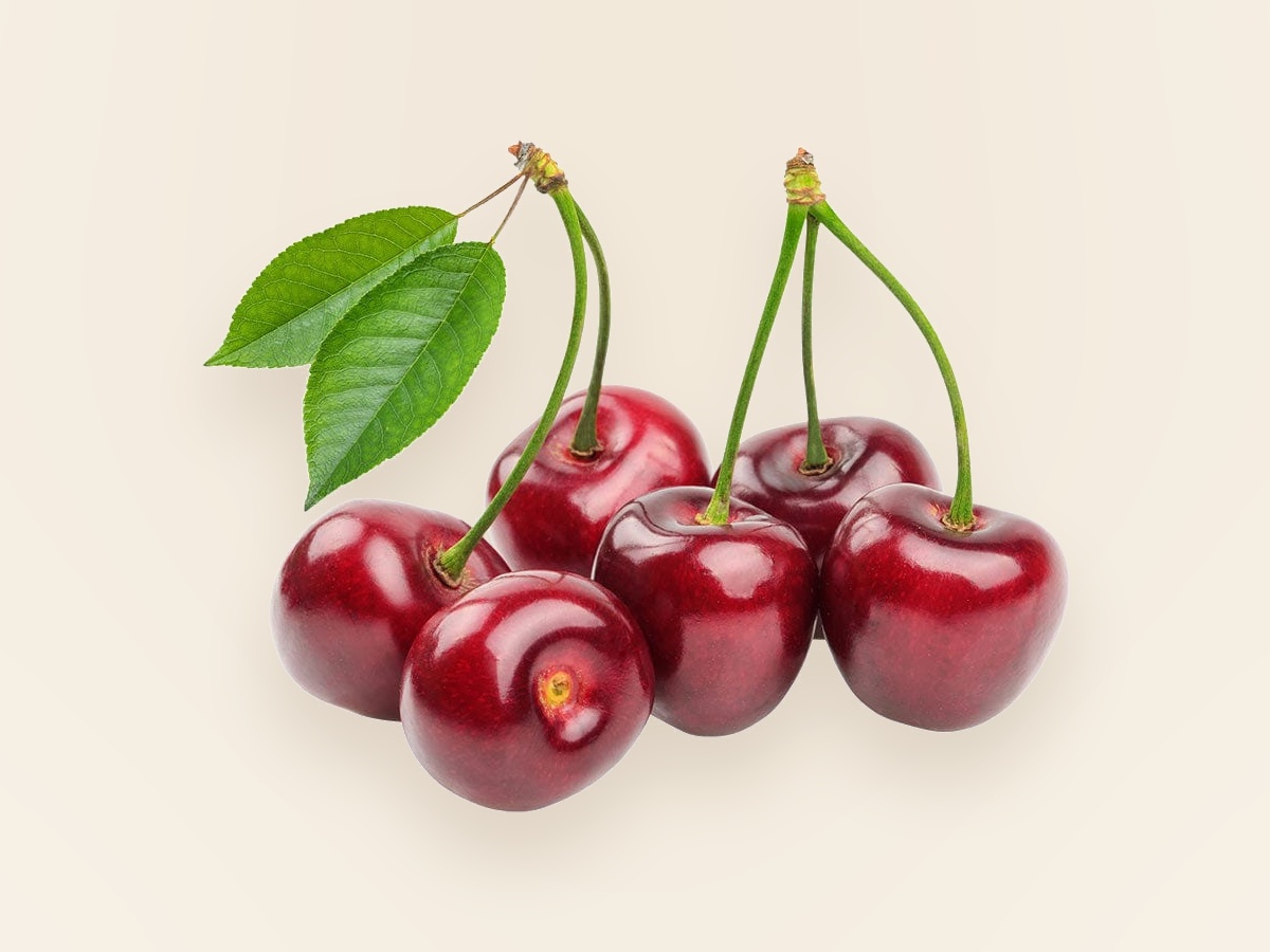 A cluster of Montmorency tart cherries